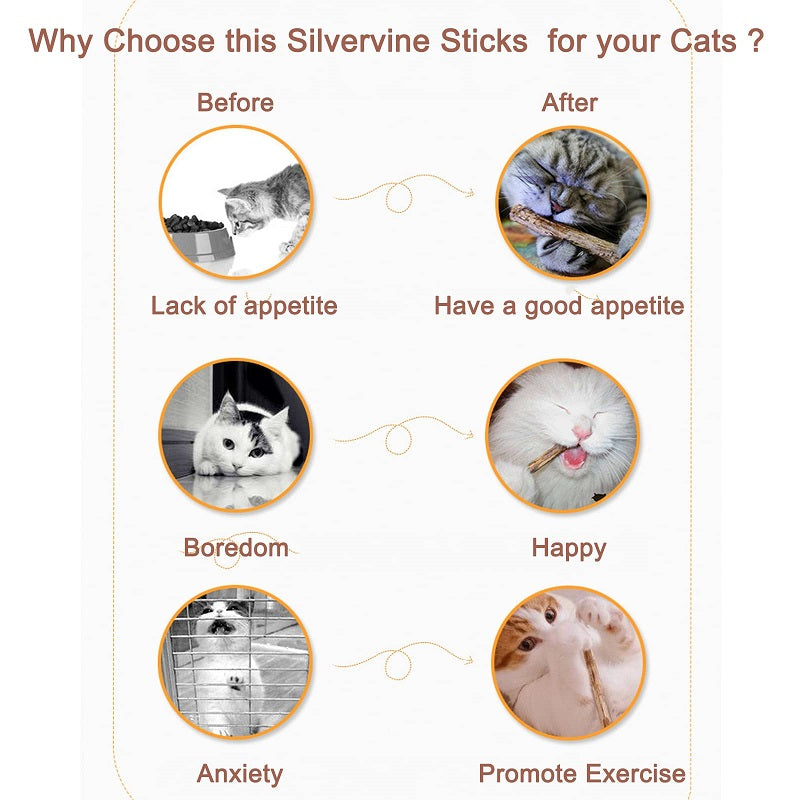 (🔥Last Day Promotion - 30%OFF) Natural Silvervine Stick Cat Chew Toy- BUY 3 GET 2 FREE TODAY!