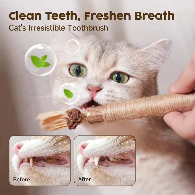 (🔥Last Day Promotion - 30%OFF) Natural Silvervine Stick Cat Chew Toy- BUY 3 GET 2 FREE TODAY!