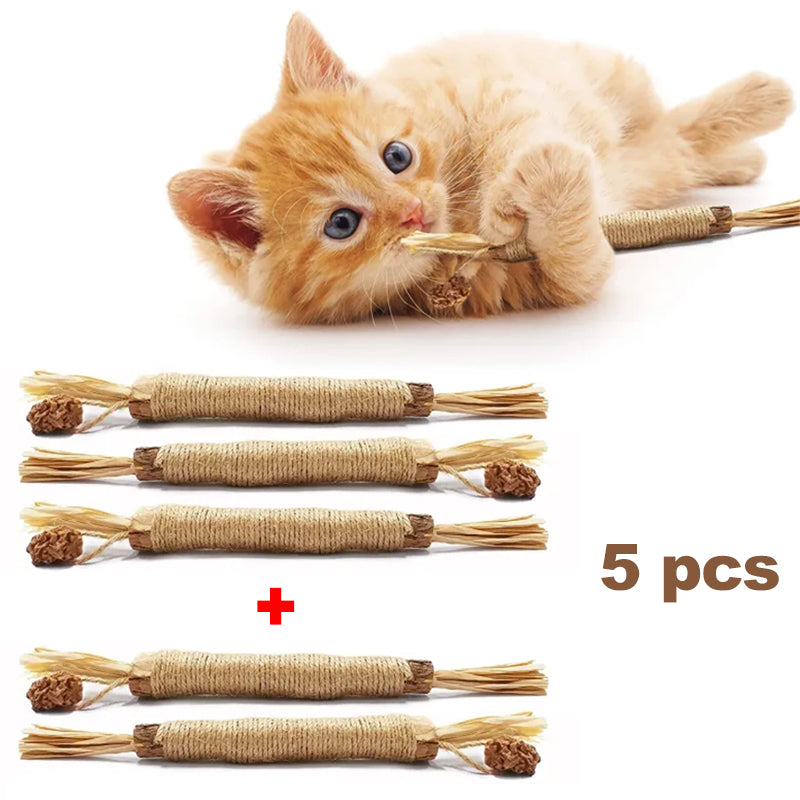 (🔥Last Day Promotion - 30%OFF) Natural Silvervine Stick Cat Chew Toy- BUY 3 GET 2 FREE TODAY!