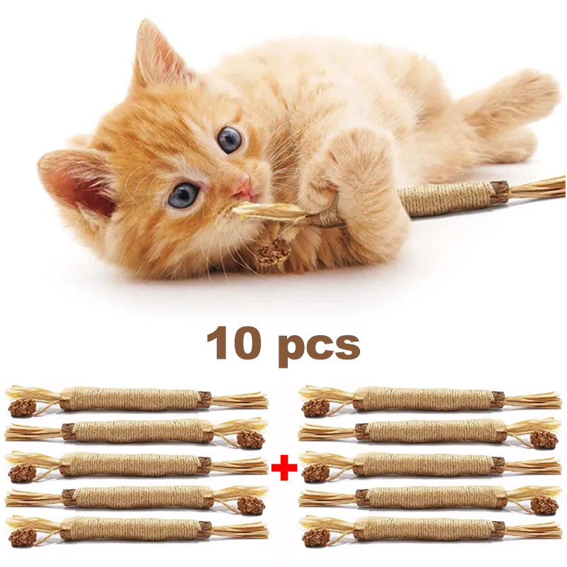 (🔥Last Day Promotion - 30%OFF) Natural Silvervine Stick Cat Chew Toy- BUY 3 GET 2 FREE TODAY!